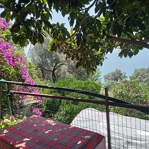 Apart Otel Aysen Ablanin Yeri, Muğla